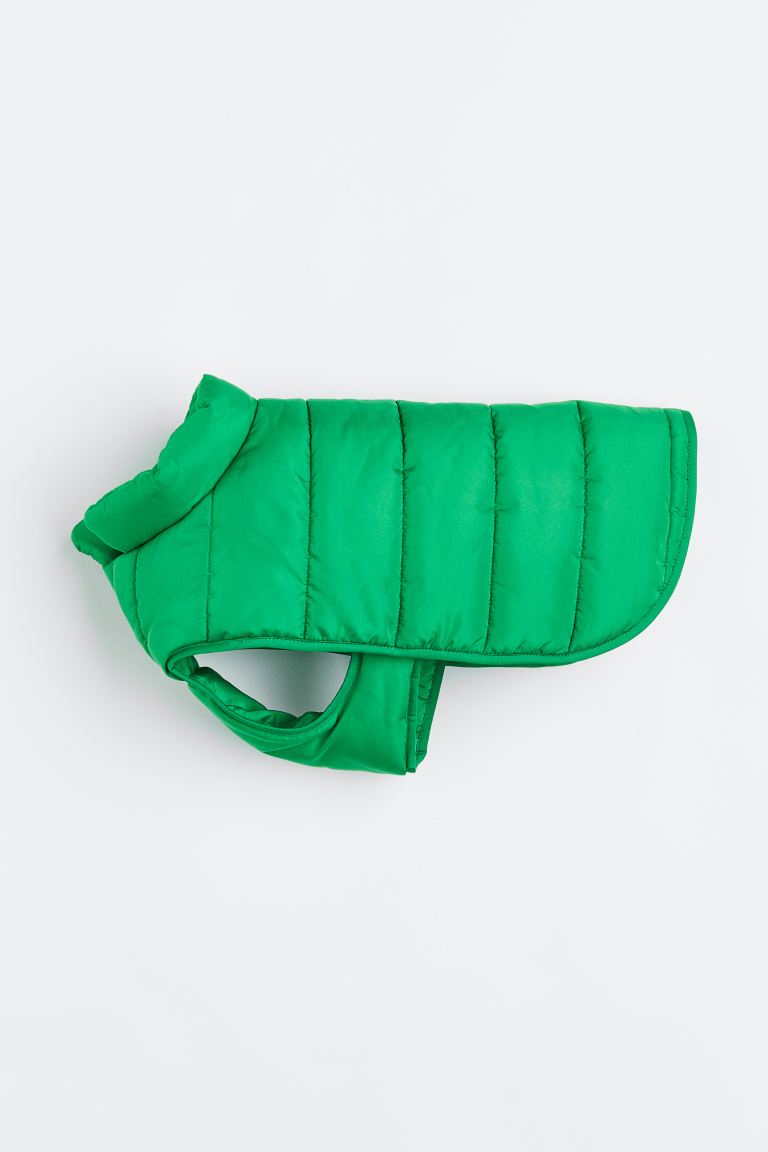 markdown code Off Quilted dog jacket