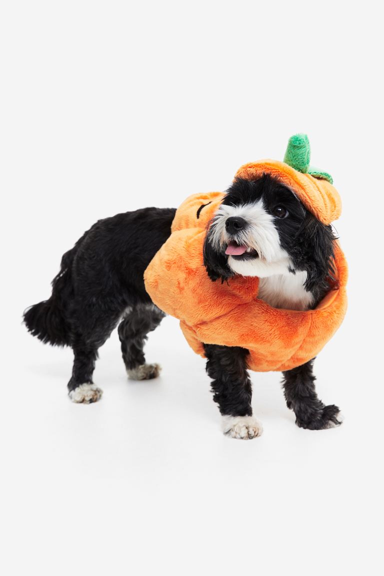 coupon Off Fancy dress costume for a dog